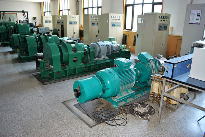 翁源某热电厂使用我厂的YKK高压电机提供动力